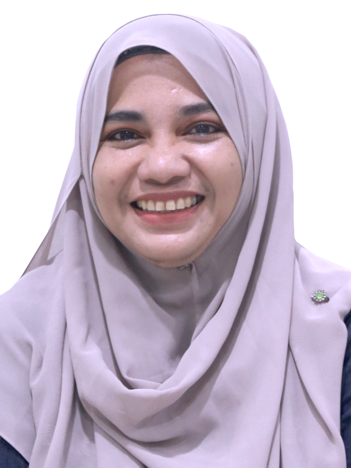 STAFF DIRECTORY UPSI Pusat Pengurusan Penyelidikan dan Inovasi